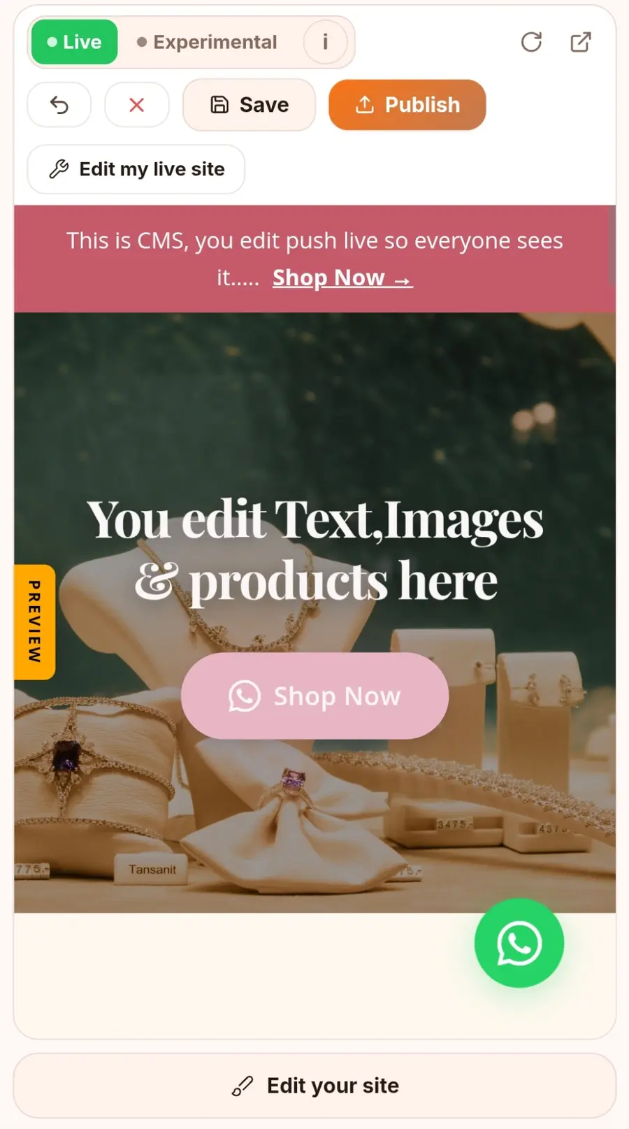 The Hampox editor on the Live canvas. A preview of a jewellery shop page, its headline replaced with the words "You edit text, images and products here", beside the editing panel showing theme colours, fonts and a draggable list of sections, with Save and Publish buttons above it.