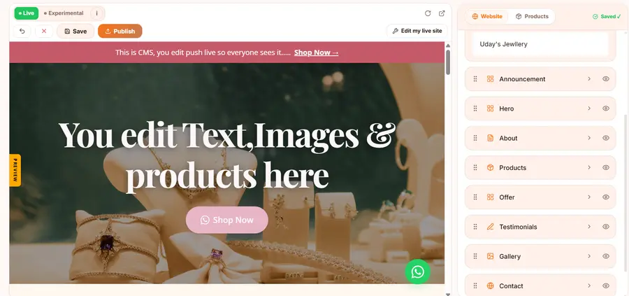 The Hampox editor on the Live canvas. A preview of a jewellery shop page, its headline replaced with the words "You edit text, images and products here", beside the editing panel showing theme colours, fonts and a draggable list of sections, with Save and Publish buttons above it.